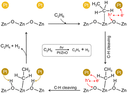 Graphical abstract: Photocatalytic ethene synthesis from ethane dehydrogenation with high selectivity by ZnO-supported Pt nanoparticles