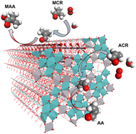 Graphical abstract: Role of the heptagonal channel of crystalline Mo3VOx catalyst for the selective oxidation of acrolein and methacrolein