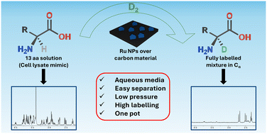 Graphical abstract: Catalytic enantiospecific deuteration of complex amino acid mixtures with ruthenium nanoparticles