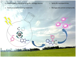 Graphical abstract: White-light-emitting diode (LED)-promoted one-pot synthesis of 1,2-dihydropyrimido[1,2-a]benzimidazoles in the presence of a new spiky magnetic nanocatalyst and their anthelmintic studies