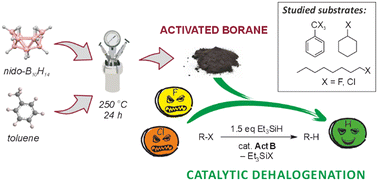Graphical abstract: Catalytic dehalogenation with activated borane, a porous borane cluster polymer