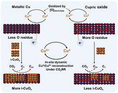 Graphical abstract: New insights into influences of initial oxidization states on dynamic reconstruction of Cu catalysts and C–C coupling in CO2 reduction