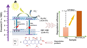 Graphical abstract: Facile in situ construction strategy to deposit Mn0.5Cd0.5S nanoparticles on TiO2 nanosheets for highly efficient visible light photocatalytic degradation of tetracycline