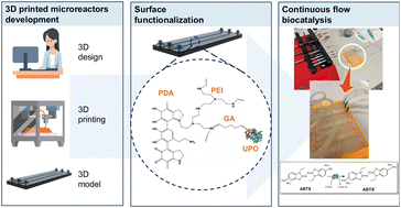 Graphical abstract: Unspecific peroxygenase immobilization in 3D-printed microfluidics: towards tailor-made screening platforms