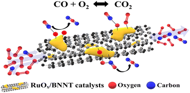 Graphical abstract: Fundamental studies of ruthenium species supported on boron nitride nanotubes: metal loading and pretreatment effects on CO oxidation