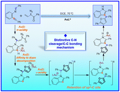 Graphical abstract: Distinctive C–N cleavage/C–C formation mechanism in Au-catalyzed reactions of N-(o-alkynylphenyl)imines and vinyldiazo ketones