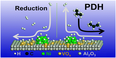 Graphical abstract: Co-catalysis of propane dehydrogenation by Al2O3-supported Ni nanoparticles and VOx