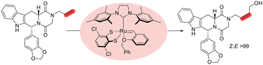 Graphical abstract: Modifications of substituents on the chelating oxygen atom in stereoretentive Hoveyda–Grubbs-type complexes and their influence on catalytic properties