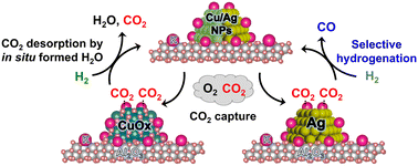 Graphical abstract: CO2 capture in the presence of O2 and selective hydrogenation to CO over an Ag–K dual functional material (DFM): comparative investigation with a Cu-based DFM