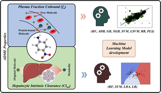 Graphical abstract: Insights into pharmacokinetic properties for exposure chemicals: predictive modelling of human plasma fraction unbound (fu) and hepatocyte intrinsic clearance (Clint) data using machine learning