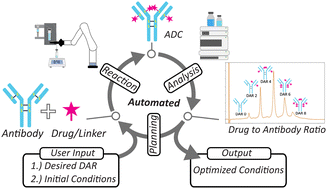 Graphical abstract: Automating stochastic antibody–drug conjugation: a self-driving lab approach for enhanced therapeutic development