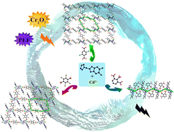Graphical abstract: Three robust Cd(ii) coordination polymers as bifunctional luminescent probes for efficient detection of pefloxacin and Cr2O72− in water