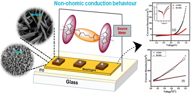Graphical abstract: Comparative outcomes of the voltage-dependent current density, charge transportation and rectification ratio of electronic devices fabricated using mechanically flexible supramolecular networks