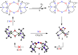 Graphical abstract: Exploring the carbonic anhydrase-mimetic [(PMDTA)2ZnII2(OH−)2]2+ for nitric oxide monooxygenation