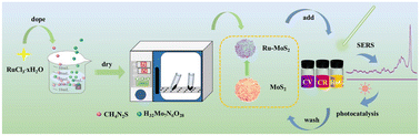 Graphical abstract: Doping-induced band-gap shrinkage to modify the electronic structure of MoS2 for organic wastewater management
