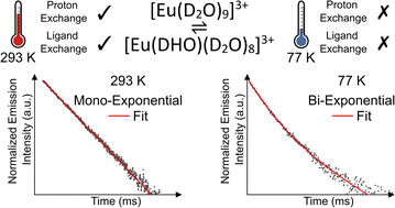 Graphical abstract: Step-wise changes in the excited state lifetime of [Eu(D2O)9]3+ and [Eu(DOTA)(D2O)]− as a function of the number of inner-sphere O–H oscillators
