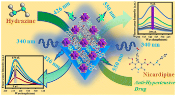 Graphical abstract: Naphthalimide functionalized metal–organic framework for rapid and nanomolar level detection of hydrazine and anti-hypertensive drug nicardipine