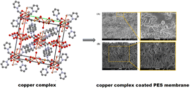 Graphical abstract: Retracted Article: Synthesis and characterization of a novel copper carboxylate complex and a copper complex-coated polyether sulfone membrane for efficient degradation of methylene blue dye under UV irradiation: the single crystal X-ray structure of the copper carboxylate complex