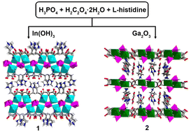 Graphical abstract: Two histidine-templated metal phosphate-oxalates: solvent-free synthesis, luminescence, and proton-conducting properties