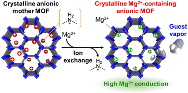 Graphical abstract: High ionic conduction in a robust anionic metal–organic framework containing Mg2+ under guest vapors