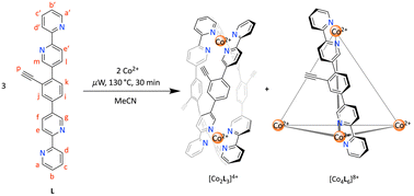 Graphical abstract: Self-assembled Co(ii) and Co(iii) [M2L3] helicates and [M4L6] tetrahedra from an unsymmetrical quaterpyridine ligand