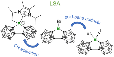 Graphical abstract: Reactivity study of Lewis superacidic carborane-based analogue of 9-bromo-9-borafluorene towards Lewis bases