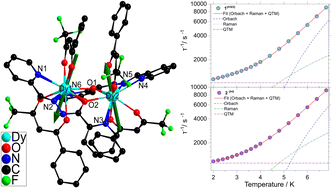 Graphical abstract: Modulating quantum tunnelling of magnetization in Dy isotopologue dimers