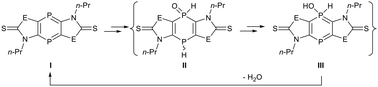 Graphical abstract: Elimination reactions in 1,4-diphosphinine chemistry: mixed-valence intermediates and 1,1- vs. 1,4-elimination pathways