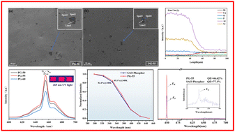 Graphical abstract: Sr4Al14O25:Li+,Mn4+ phosphor-in-glass film: erosion behavior and luminescence property