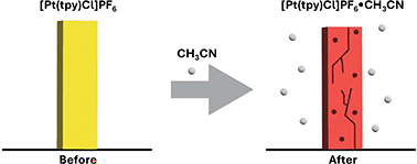 Graphical abstract: Cracking down on vapochromic salts: unveiling vapomechanical stress in gas-sorbing platinum complexes