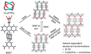 Graphical abstract: Structural diversity and solvent-induced transformations of a copper-based metal–organic framework with highly aromatic ligands