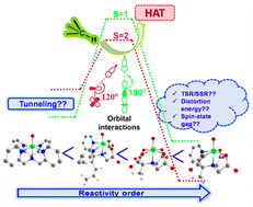 Graphical abstract: Impact of carboxylate ligation on the C–H activation reactivity of a non-heme Fe(iv)O complex: a computational investigation