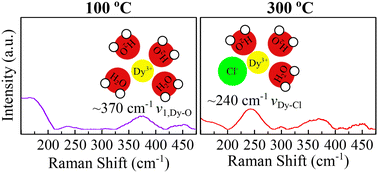Graphical abstract: In situ Raman investigation of Dy complexation in Cl-bearing aqueous solutions at 20–300 °C