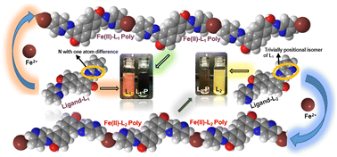 Graphical abstract: Trivial positional isomerism in ligands triggering different properties in Fe(ii)-metallopolymers; design, synthesis, and characterization