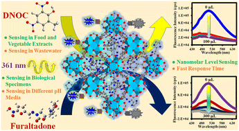 Graphical abstract: An imidazole functionalized aqua-stable metal–organic framework for selective fluorogenic detection of herbicide DNOC and antibacterial agent furaltadone in various biological and environmental specimens