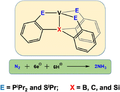 Graphical abstract: Unravelling the potential of low-valent tunable vanadium complexes in the nitrogen reduction reaction (NRR)
