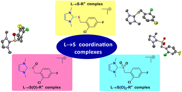 Graphical abstract: (Imidazol-2-ylidene) → S coordination interactions and its modulation upon S-oxidation
