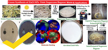 Graphical abstract: Green synthesis of ZnO-NPs using sugarcane bagasse waste: phytochemical assessment of extract and biological study of nanoparticles