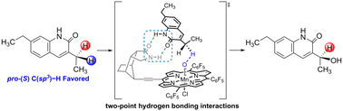 Graphical abstract: A mechanistic study of chiral manganese porphyrin-catalyzed enantioselective C–H hydroxylation reaction