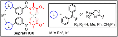 Graphical abstract: Supramolecular bidentate rhodium(i) or iridium(i) phosphine and oxazoline amino acid bioconjugates as selective catalysts for enantioselective reactions