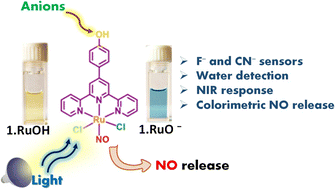 Graphical abstract: A synergetic effect of light and anion: near-infrared colorimetric monitoring of nitric oxide (NO) release from fluoride/cyanide anions and a water responsive ruthenium nitrosyl complex