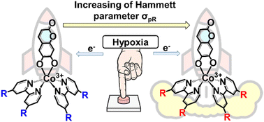 Graphical abstract: Hypoxia-activated dissociation of heteroleptic cobalt(iii) complexes with functionalized 2,2′-bipyridines and a model anticancer drug esculetin