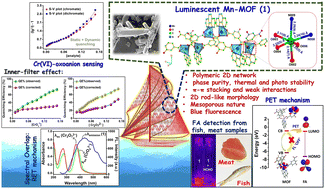 Graphical abstract: Mixed-ligand based water-stable Mn(ii)-MOF for quick, sensitive, and reusable IFE-PET-RET facilitated detection of formaldehyde and Cr(vi)-oxoanions in real-field samples like food and industrial water: experimental and theoretical insights