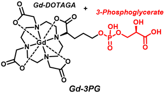 Graphical abstract: Synthesis and relaxivity of gadolinium-based DOTAGA conjugated 3-phosphoglycerate