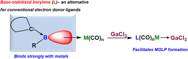 Graphical abstract: Binding of base-stabilized borylenes with transition metals and formation of metal only Lewis pairs