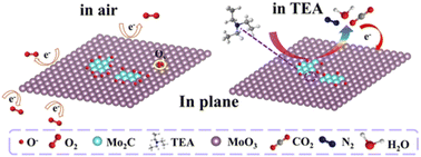 Graphical abstract: Synthesis of in-plane Mo2C/MoO3 heterostructures by a novel spatial-confined partial oxidation approach for enhanced TEA sensing
