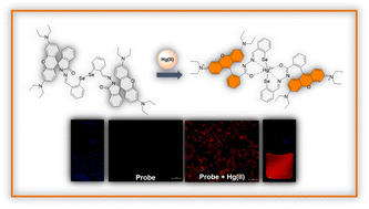 Graphical abstract: Development of diselenide-based fluorogenic system for the selective and sensitive detection of the Hg(ii) in aqueous media