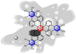 Graphical abstract: Necrosis inducing tetranuclear Ru(ii)–Re(i) metal complex for anticancer therapy