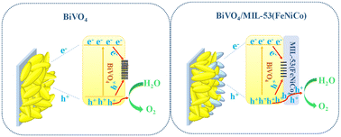 Graphical abstract: An MIL-53(FeNiCo) decorated BiVO4 photoanode for efficient photoelectrochemical water oxidation