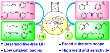 Graphical abstract: Acceptorless oxidant-free dehydrogenation of amines catalyzed by Ru–hydride complexes of amide-acid/ester ligands